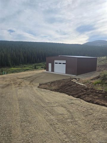 1204 Zebulon Street, Fairplay, CO 80440