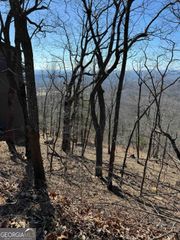 7349 Starlight Lane, Big Canoe, GA 30143