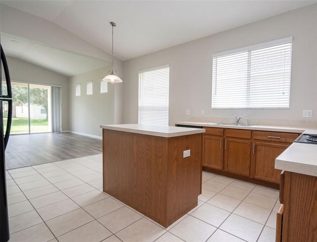 13424 HOPKINTON CT, Windermere, FL 34786