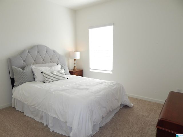 205 ARLINGTON LOOP, Chelsea, AL 35043