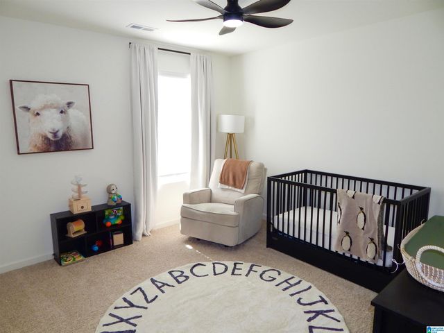 205 ARLINGTON LOOP, Chelsea, AL 35043
