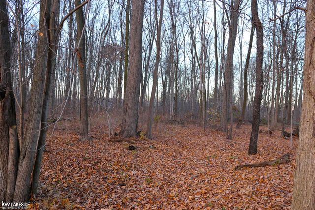 31425 29 Mile Road, Lenox, MI 48050