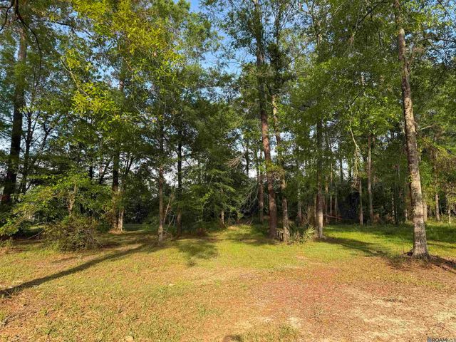 1-B-2-A-2 Clinton Allen Rd, Denham Springs, LA 70706