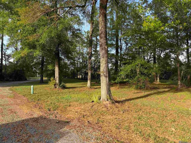 1-B-2-A-2 Clinton Allen Rd, Denham Springs, LA 70706