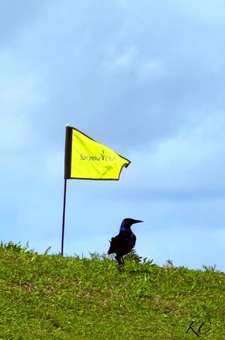 8181 14th Hole Drive, Port St. Lucie, Port St Lucie, FL 34952