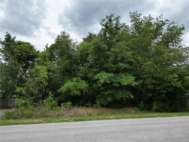 PINE COURSE, Ocala, FL 34472