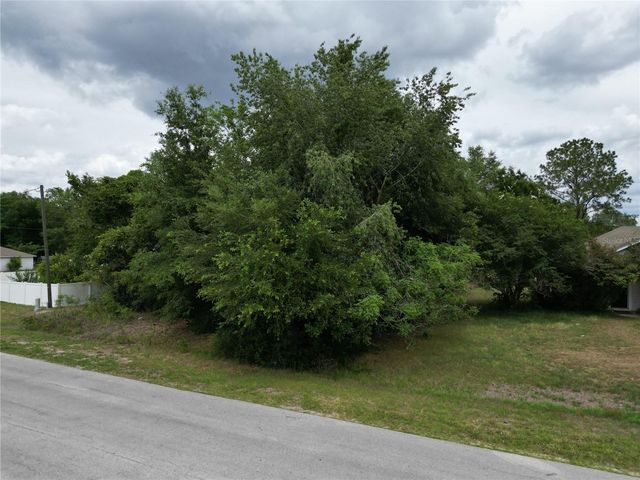 PINE COURSE, Ocala, FL 34472