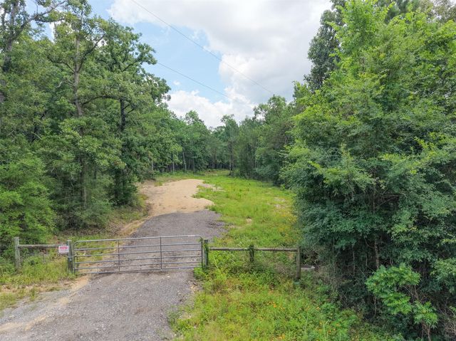 14452 Trero Lane, Willis, TX 77378