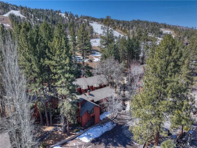 41935 Switzerland Drive 100, Big Bear Lake, CA 92315