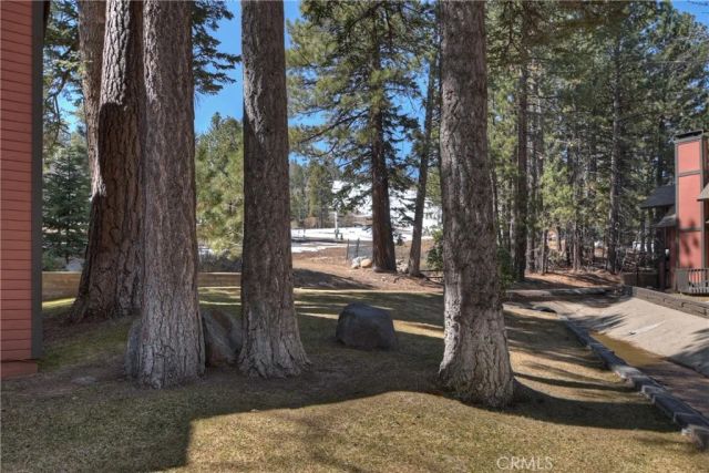 41935 Switzerland Drive 100, Big Bear Lake, CA 92315