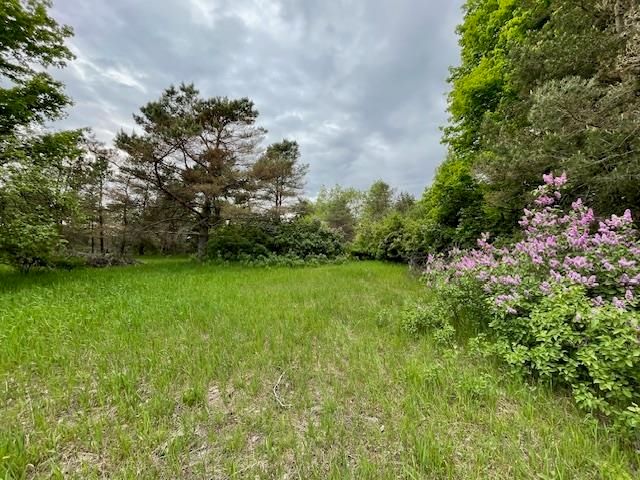 8530 Homestead Road, Benzonia, MI 49616