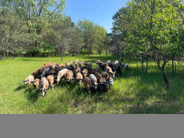 8530 Homestead Road, Benzonia, MI 49616