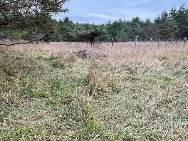 8530 Homestead Road, Benzonia, MI 49616