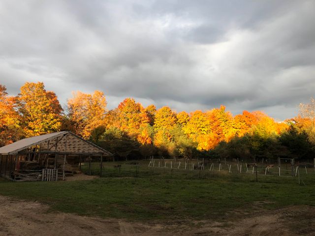 8530 Homestead Road, Benzonia, MI 49616