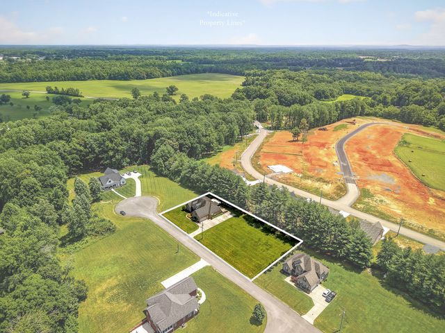 139 Chestnut Oak Ave, Smithville, TN 37166
