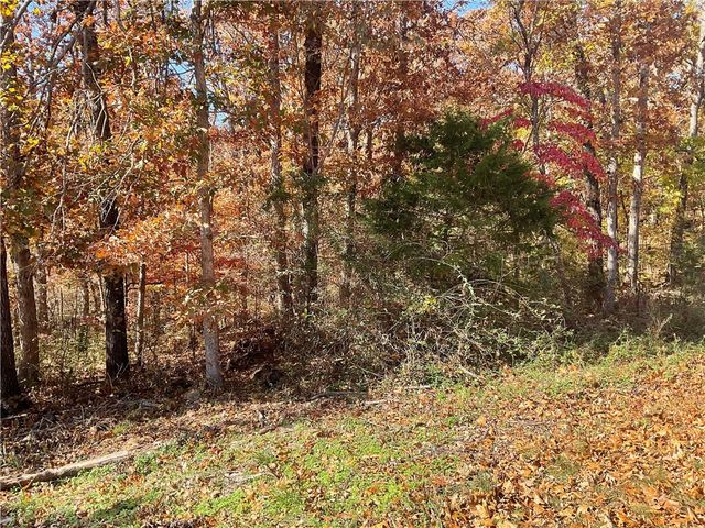 TBD Morvan Lane, Bella Vista, AR 72715