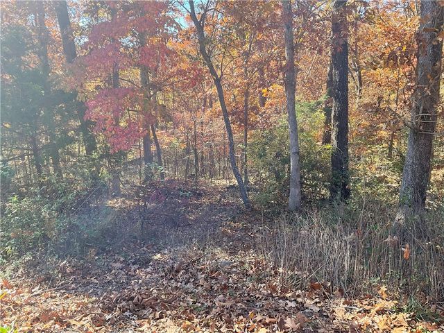 TBD Morvan Lane, Bella Vista, AR 72715