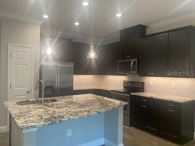 1114 CORAL LANE, Dunedin, FL 34698