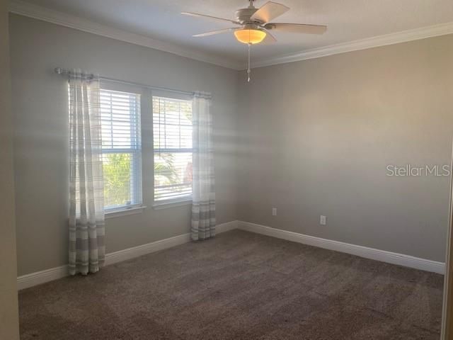 1114 CORAL LANE, Dunedin, FL 34698