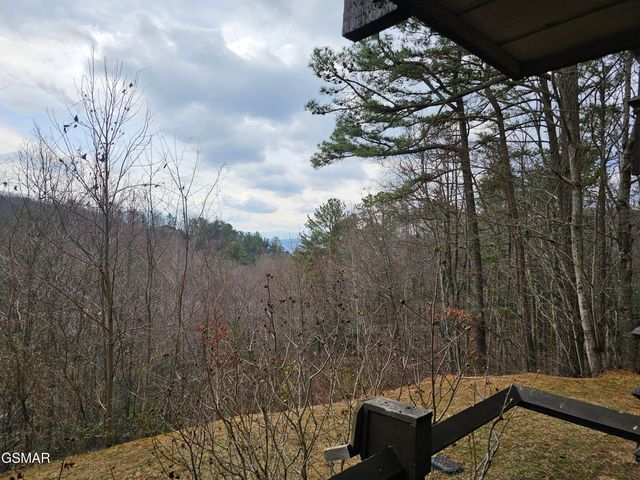 1081 COVE Road, Sevierville, TN 37876