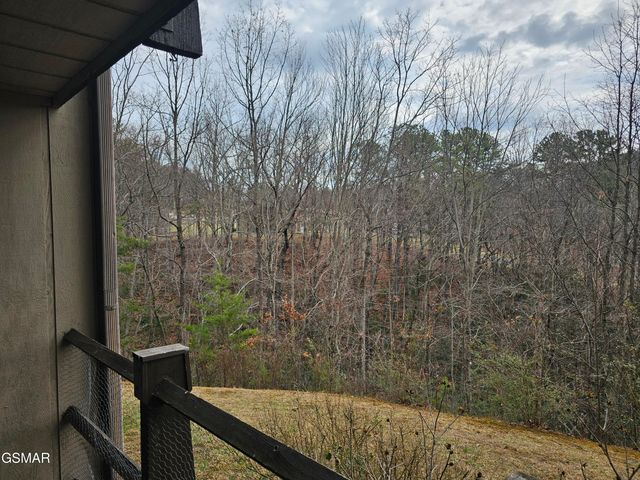 1081 COVE Road, Sevierville, TN 37876