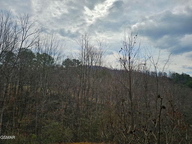 1081 COVE Road, Sevierville, TN 37876