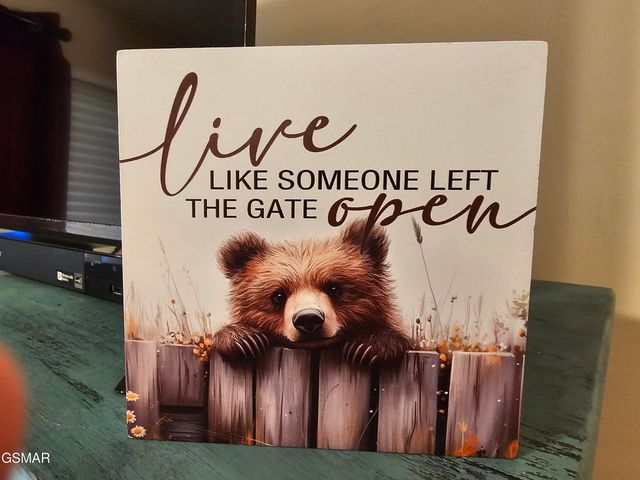 1081 COVE Road, Sevierville, TN 37876