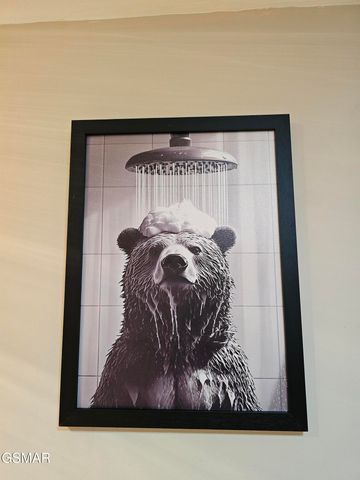 1081 COVE Road, Sevierville, TN 37876