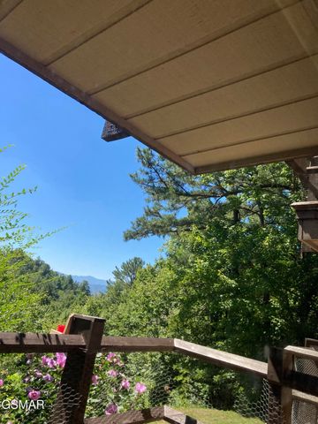 1081 COVE Road, Sevierville, TN 37876