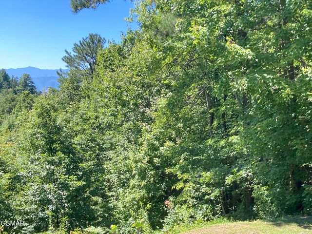 1081 COVE Road, Sevierville, TN 37876