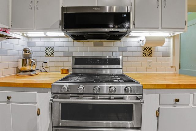 347 E 3RD AVENUE, Mount Dora, FL 32757