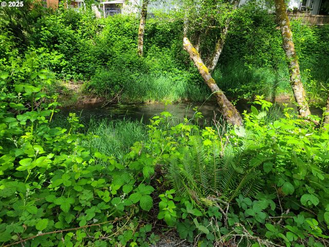 74866 Doan Rd 58, Rainier, OR 97048