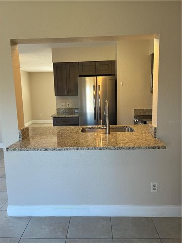 16513 LAKE BRIGADOON CIR, Tampa, FL 33618