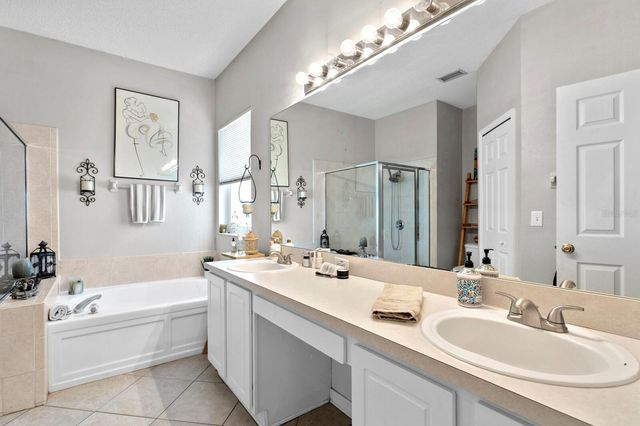 14316 SKY FLOWER LANE, Tampa, FL 33626