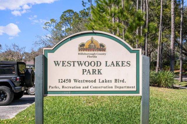 14316 SKY FLOWER LANE, Tampa, FL 33626