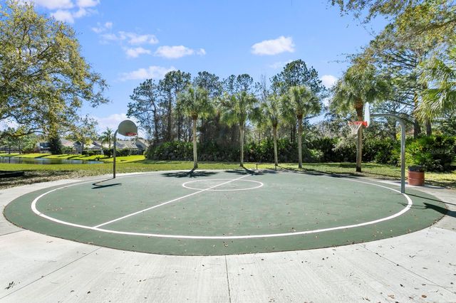 14316 SKY FLOWER LANE, Tampa, FL 33626