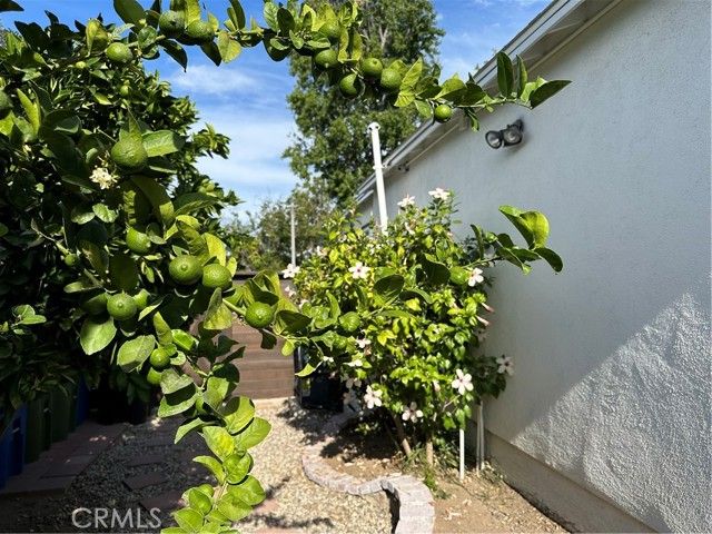 5785 Bertrand, Encino (los Angeles), CA 91316