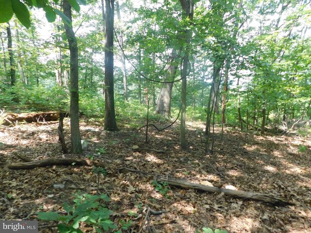 LOT 5A LARKIN RIDGE RD, Front Royal, VA 22630