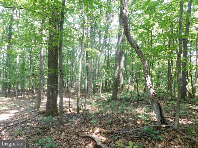 LOT 5A LARKIN RIDGE RD, Front Royal, VA 22630