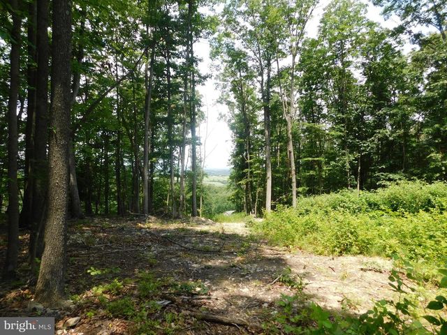LOT 5A LARKIN RIDGE RD, Front Royal, VA 22630