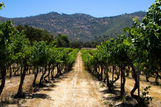 7551 Hunters Valley Road, Mariposa, CA 95338