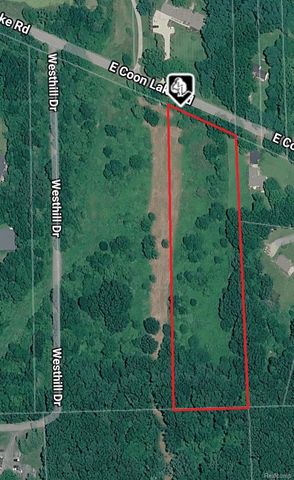 Parcel 2 E Coon Lake Rd, Genoa Township, MI 48843