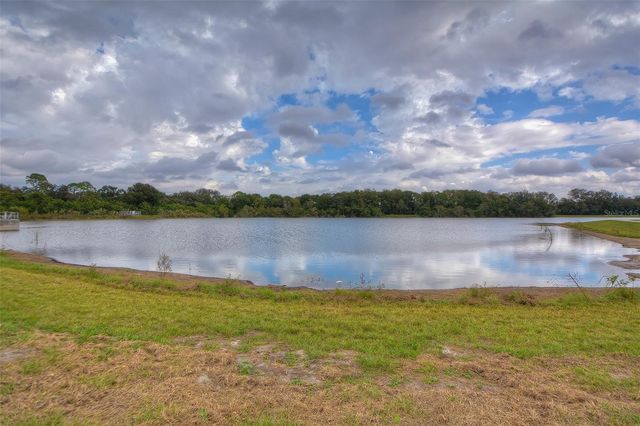 14011 WOLCOTT DRIVE, Tampa, FL 33624