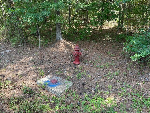 00 Highway 17a, Bonneau, SC 29431