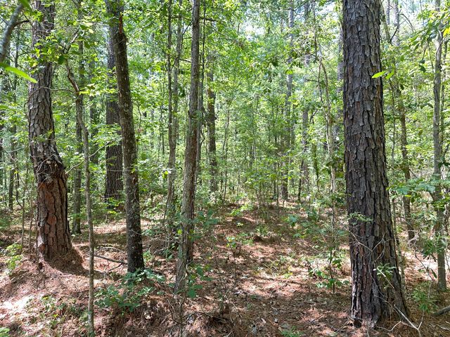 00 Highway 17a, Bonneau, SC 29431