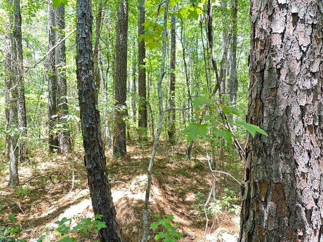 00 Highway 17a, Bonneau, SC 29431