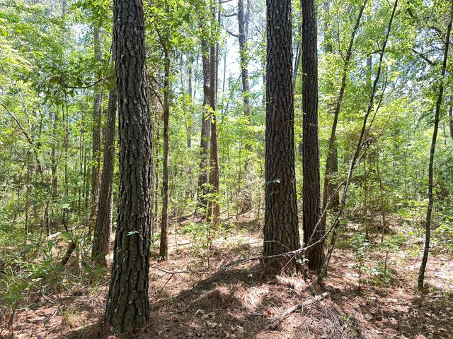 00 Highway 17a, Bonneau, SC 29431