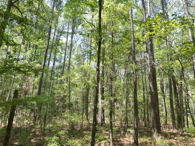 00 Highway 17a, Bonneau, SC 29431