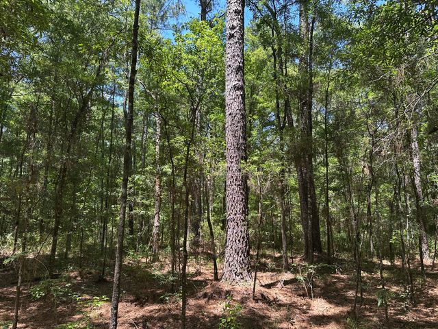 00 Highway 17a, Bonneau, SC 29431