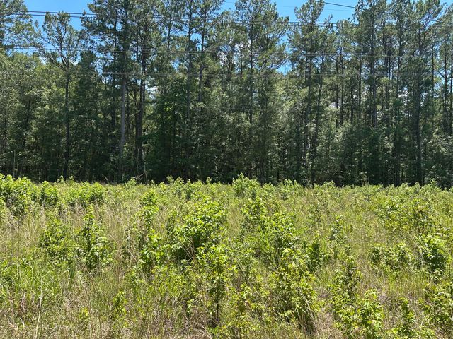 00 Highway 17a, Bonneau, SC 29431